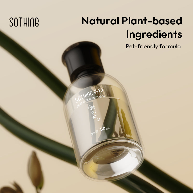 Night Light Perfume Sprayer -Outside the window