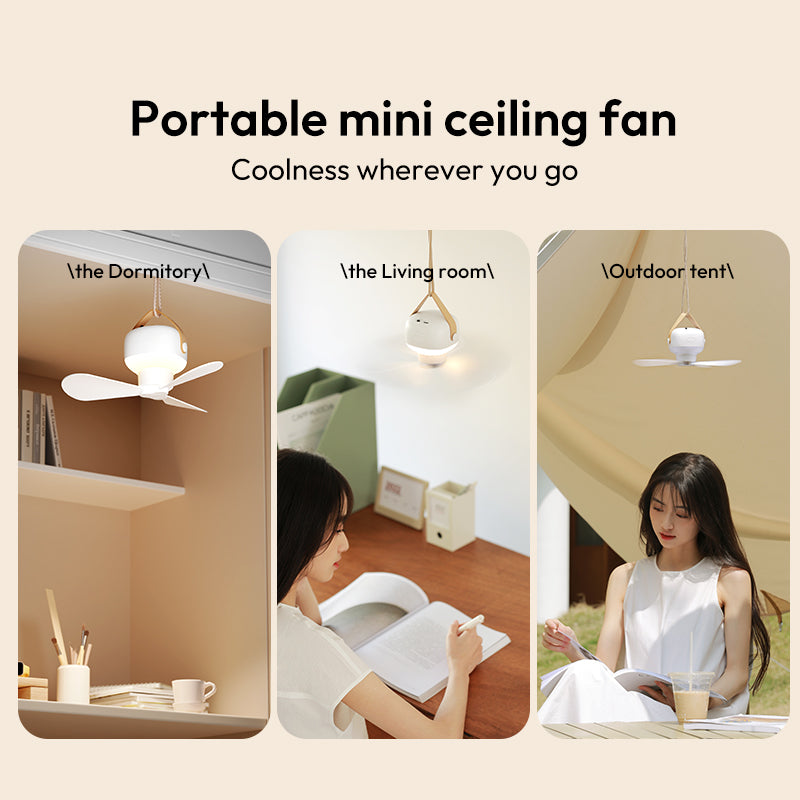 Multifunctional Ceiling Fan - coolnes